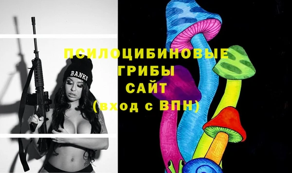 дживик Абаза