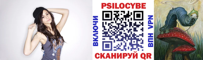 купить  цена  omg ссылка  Псилоцибиновые грибы MAGIC MUSHROOMS  Яранск 