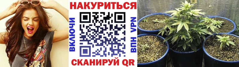 закладка  Яранск  Марихуана марихуана 